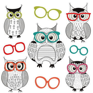 set of isolated owls with glasses - vector illustration, eps