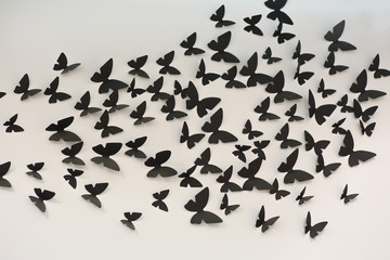 black paper butterflies