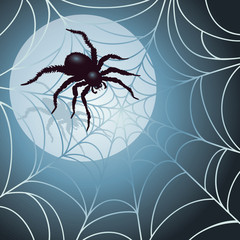 Moonlit Spider