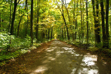Obraz premium Country Road, Górny Półwysep