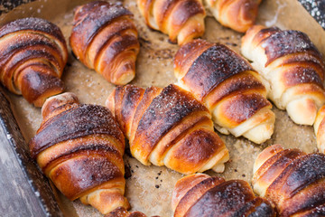freshly sweet scones