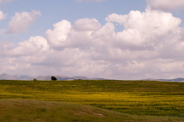 Obraz premium Landscape(Uzbekistan)