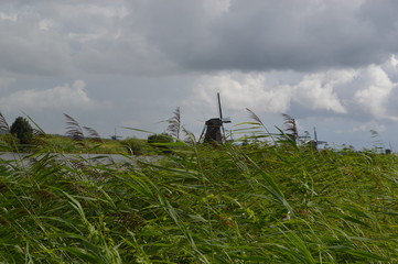 Kinderdijk