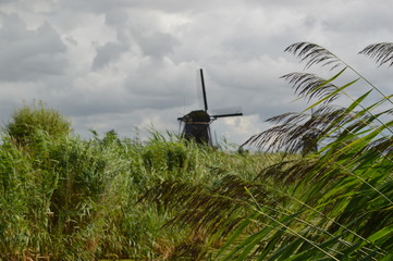Kinderdijk