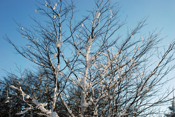 Winterlandschaft in Hessen