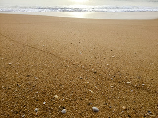Natural sandy surface ocean sea beach backdrop top view background