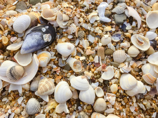 Natural sandy surface ocean sea beach backdrop top view background