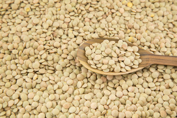 Organic lentils in the wooden spoon (Lens culinaris)