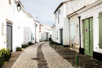 paysage de l'île de Ré