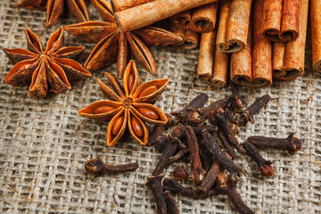 Spices and herbs. Food and cuisine ingredients. Cinnamon sticks,