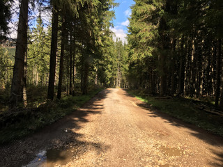Gravel road in Apuseni Natural Park