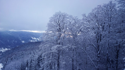 Fototapeta na wymiar Winter and snow in the forest and in the mountains