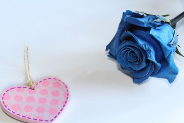 blue rose on valentines day