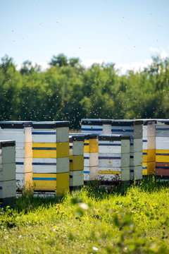 Colorful bee hives on hot summer day