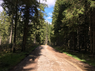 Obraz premium Gravel road in Apuseni Natural Park