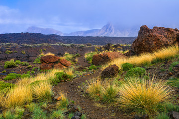 Beautiful view of lava fields with sparse vegetation in Teide Na