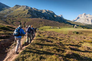 Picos, Spain - Group of hikers climb mountain foothills - obrazy, fototapety, plakaty