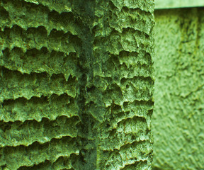 Texture of old green wall - 135006331