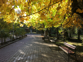 Naklejka premium Autumn at Parcul Central