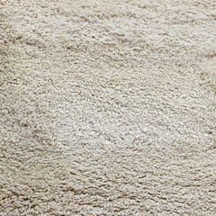 Wool Carpet