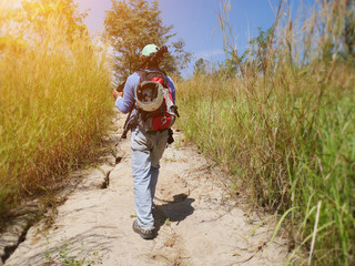 Traveler walking alone in forest mountain