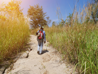Obraz premium Traveler walking alone in forest mountain