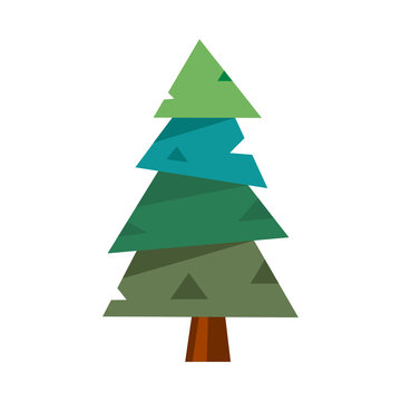 Pine tree vector illustration.