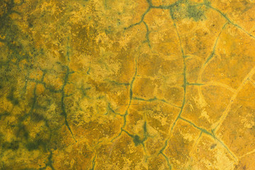 Blurred background texture of cement.