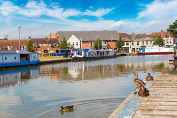 Swans in the river in Stratford-upon-Avon
