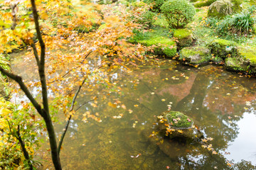 Japanese garden park in autumn