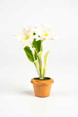 Fototapeta na wymiar ORCHID Flower Plant in Pot Dollhouse Miniatures Garden