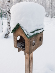 Feeder for squirrels in the park covered with snow