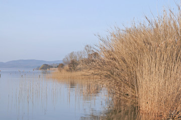 Fototapeta na wymiar Morgenstimmung am Lago Bolsena