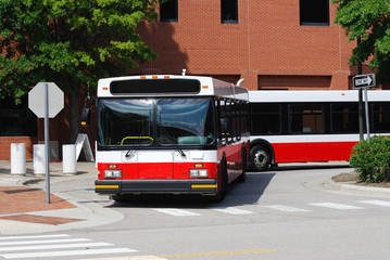campus transportation buses parked in university bus stop