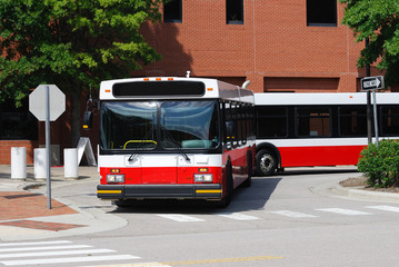 Fototapeta premium campus transportation buses parked in university bus stop