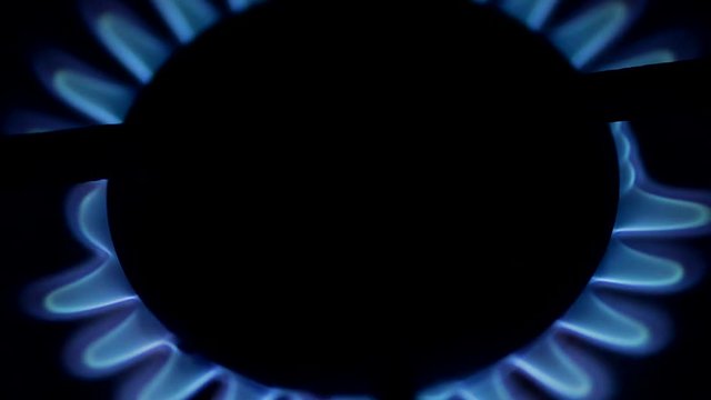 Gas stove

