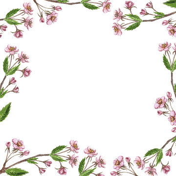floral frame with cherry tree branch, flowers, leaves and buds
