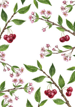 floral frame with cherry tree branches, flowers, leaves and berries