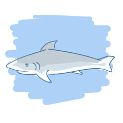 Exotic fish Shark. Sea illustration.