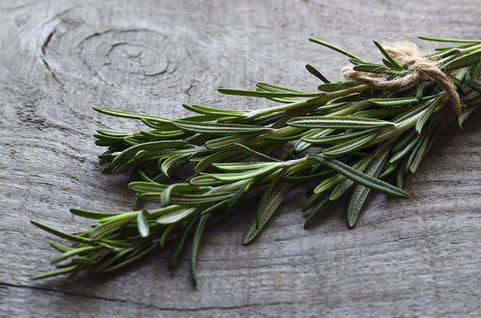 Fresh green rosemary herb on old wooden background.Rosemary herb.Rosemary bound on a wooden table.Selective focus.