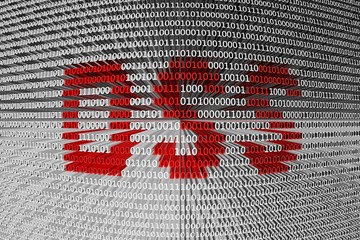 dss in the form of binary code, 3D illustration