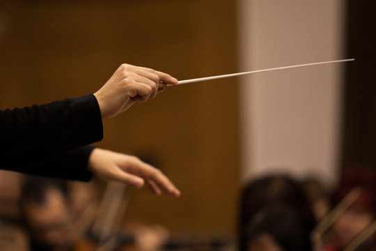 Hands of conductor closeup in dark colors