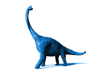 Brachiosaurus altithorax from the Late Jurassic isolated on white background (blue 3d illustration)
