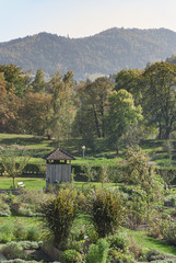 Fototapeta na wymiar Parc et jardin remarquable en Alsace