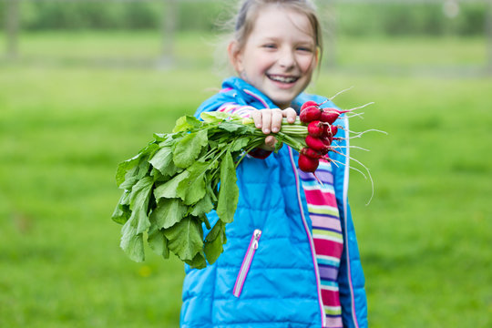 cheerful child with a bunch of radishes in the hands on a green background in the garden