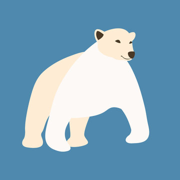 Polar Bear Flat vector illustration style
