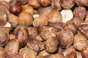 Shelled hazelnuts.