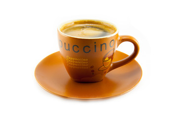 A cup of cappuccino