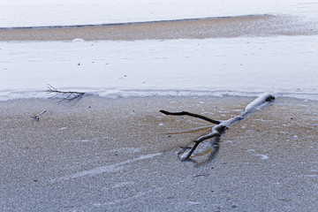branch in a frozen lake