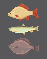 Isolated river fish. Set of freshwater sea cartoon fishes. Fauna ocean vector illustration